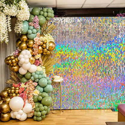 Shimmer sequin wall backdrop with frame