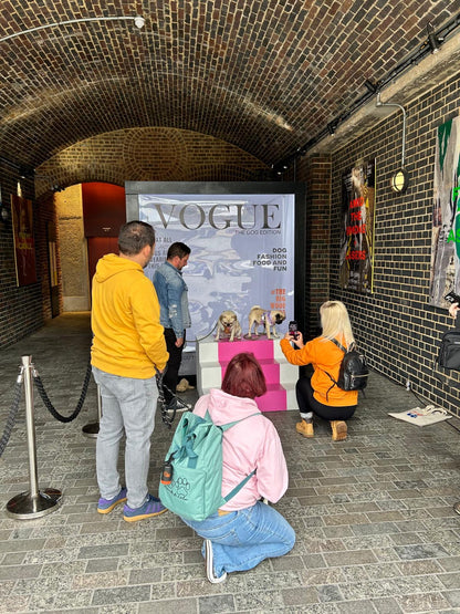 Vogue magazine-style photo booth enclosure